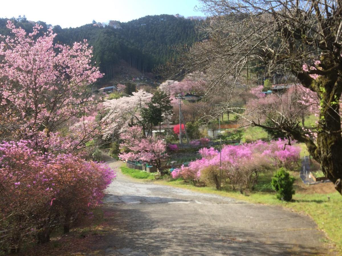 秋留野 大津大自然公园旅馆酒店 外观 照片