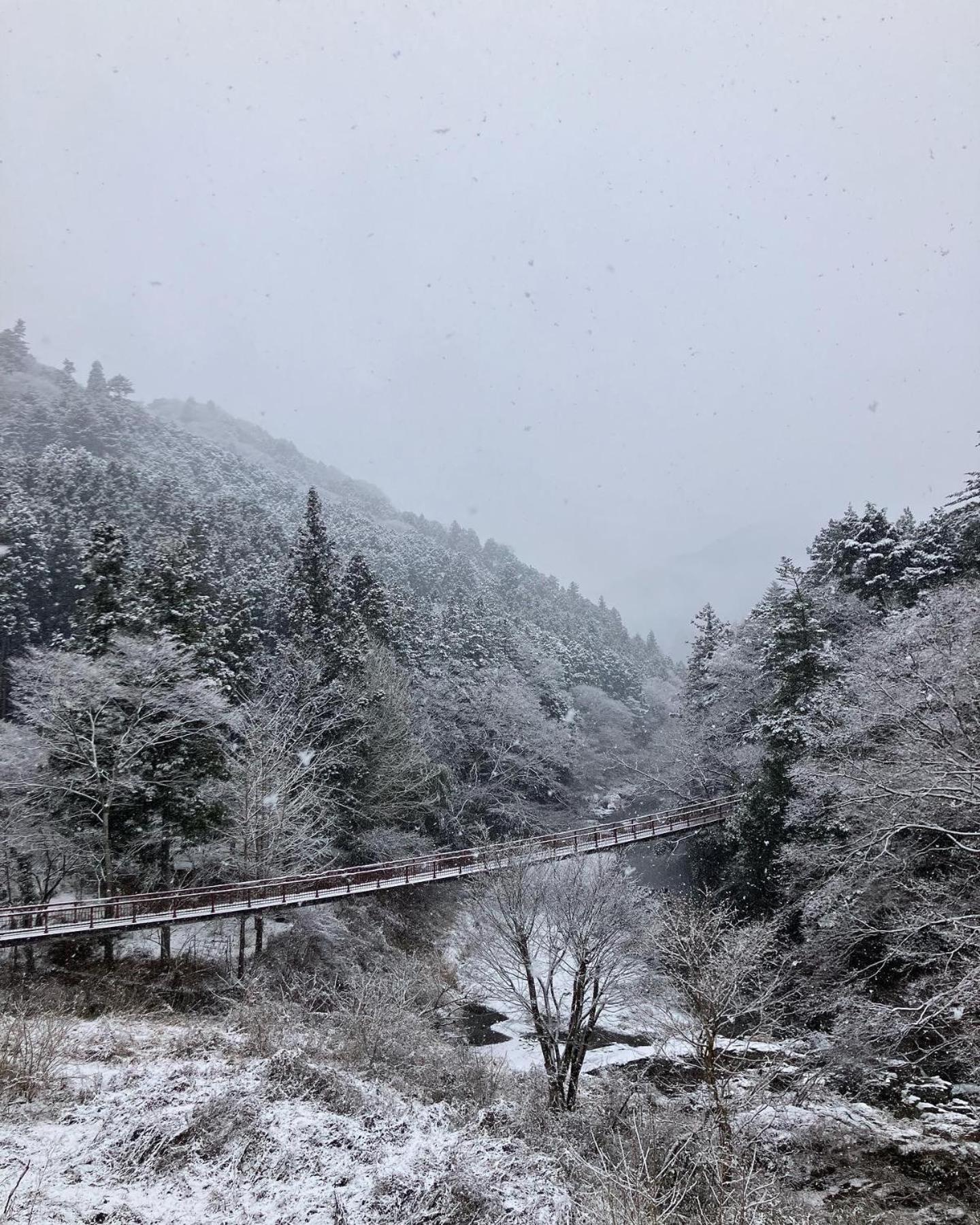 秋留野 大津大自然公园旅馆酒店 外观 照片