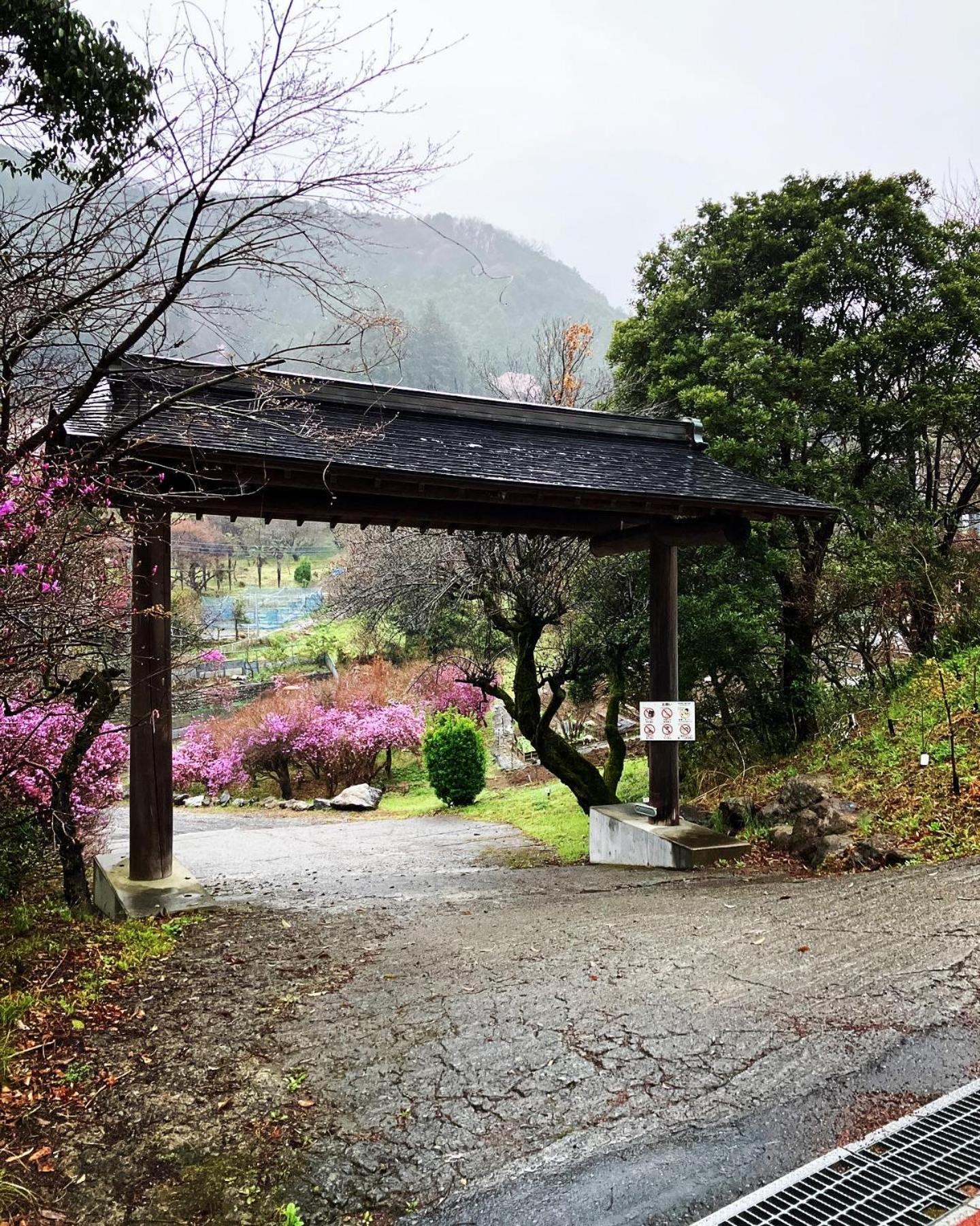 秋留野 大津大自然公园旅馆酒店 外观 照片