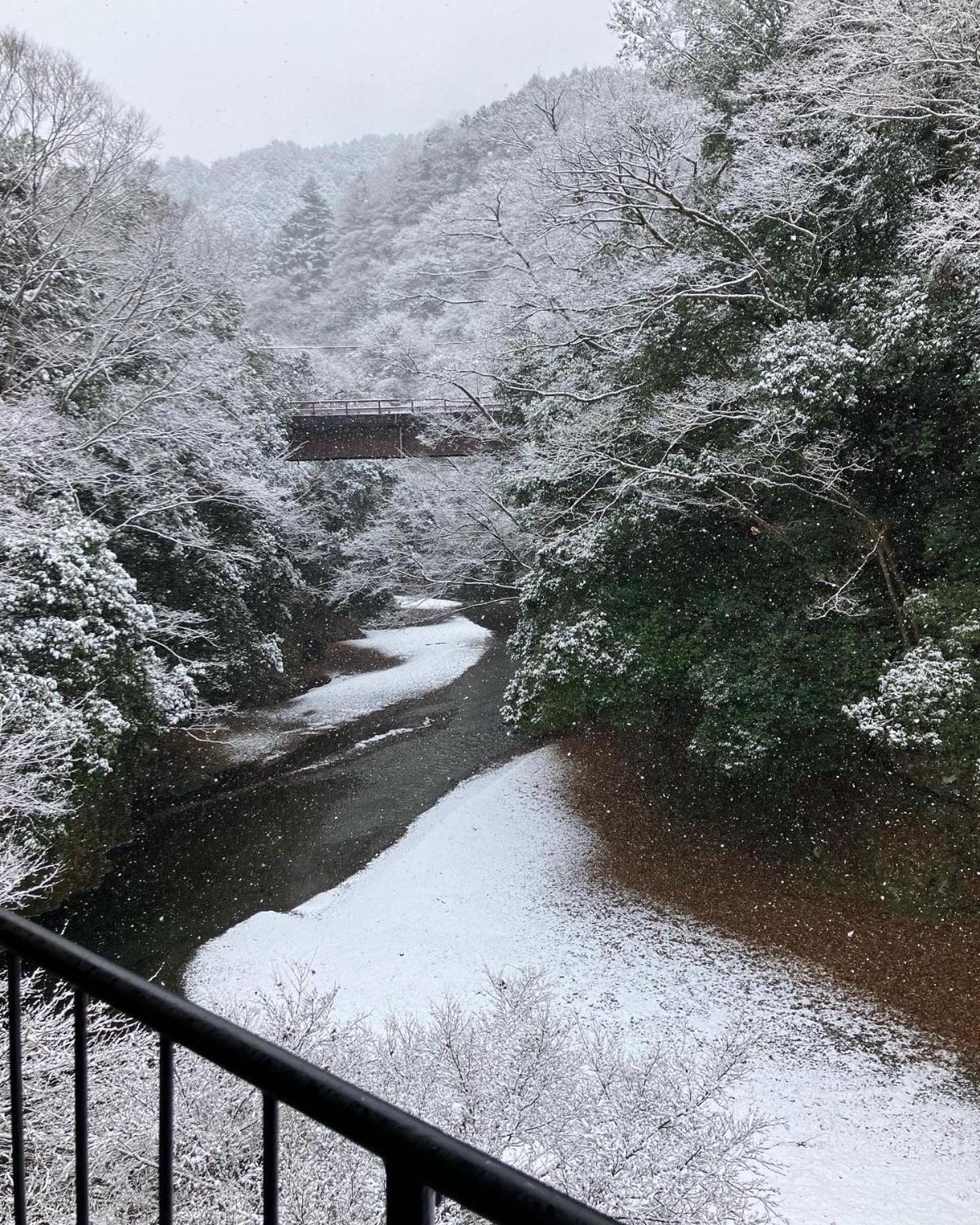 秋留野 大津大自然公园旅馆酒店 外观 照片