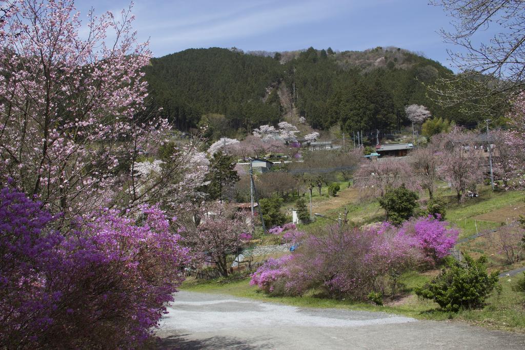 秋留野 大津大自然公园旅馆酒店 外观 照片