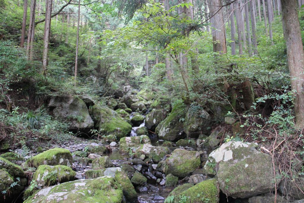 秋留野 大津大自然公园旅馆酒店 外观 照片