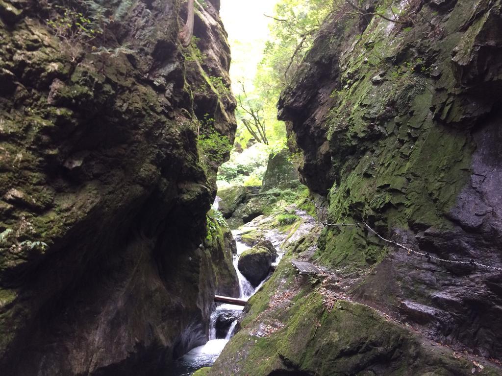 秋留野 大津大自然公园旅馆酒店 外观 照片