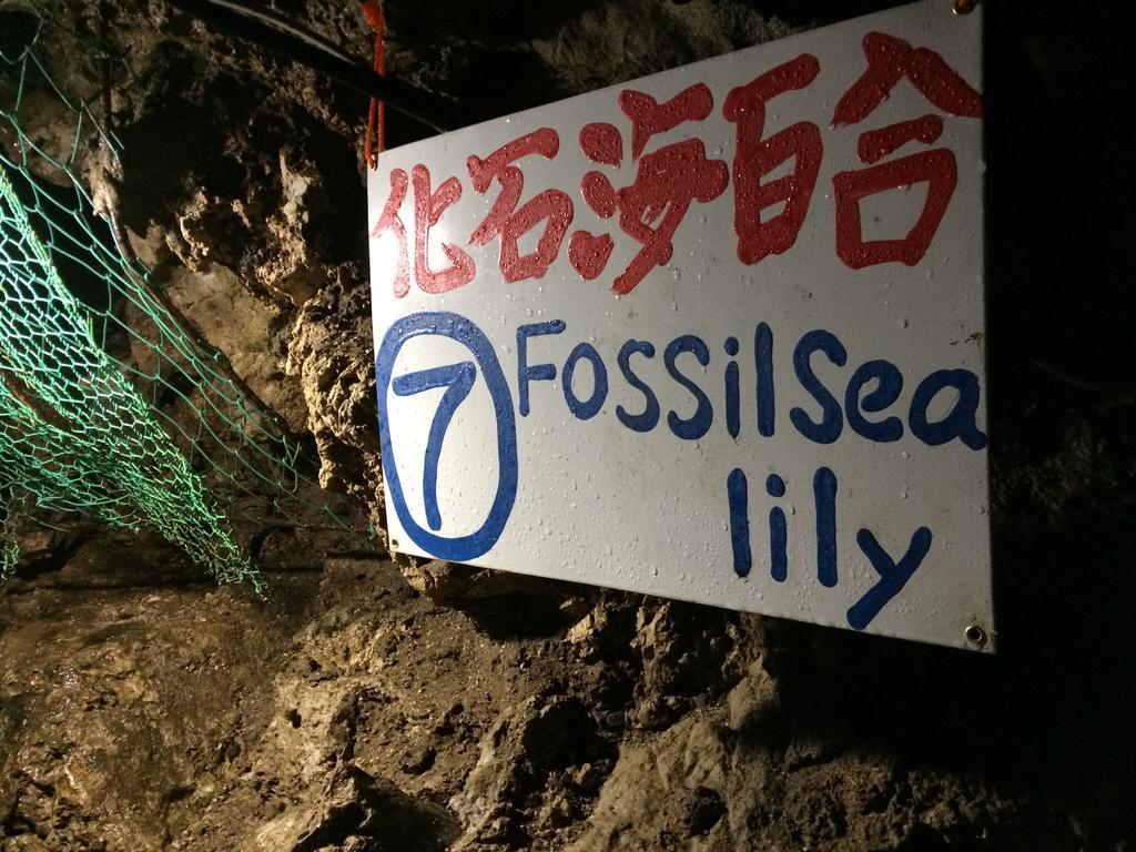 秋留野 大津大自然公园旅馆酒店 外观 照片