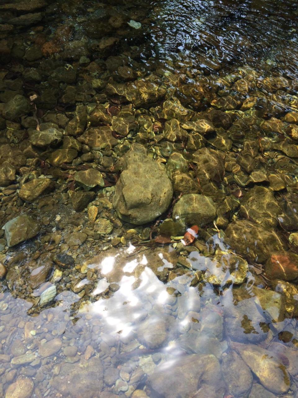 秋留野 大津大自然公园旅馆酒店 外观 照片